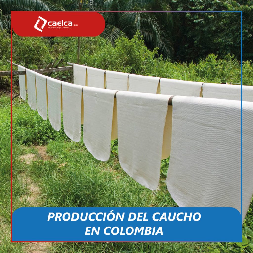 Produccion cauchera en Colombia - CAELCA