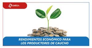 Noticias blog productores montelievano-CAELCA