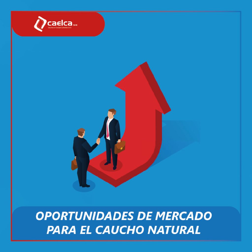 Oportunidades del negocio del caucho - CAELCA-01
