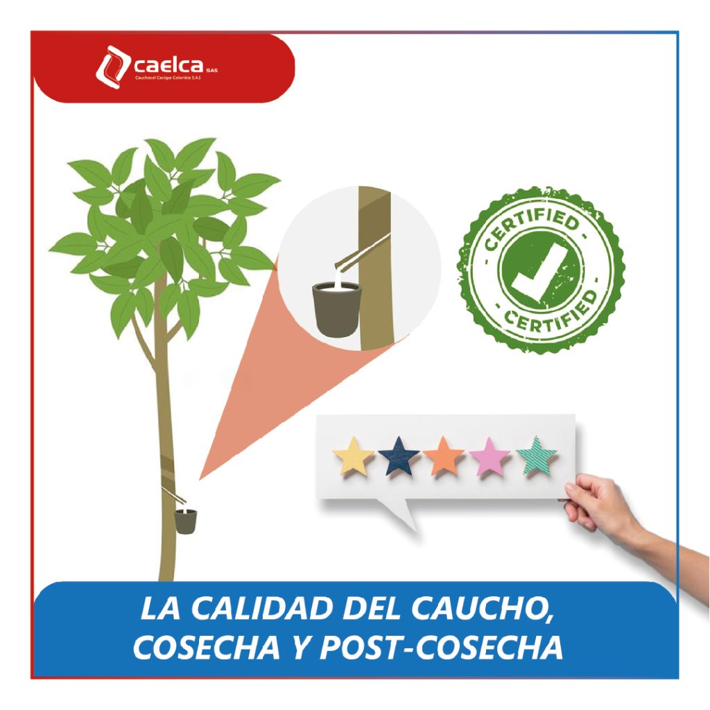 Calidad del caucho-CAELCA