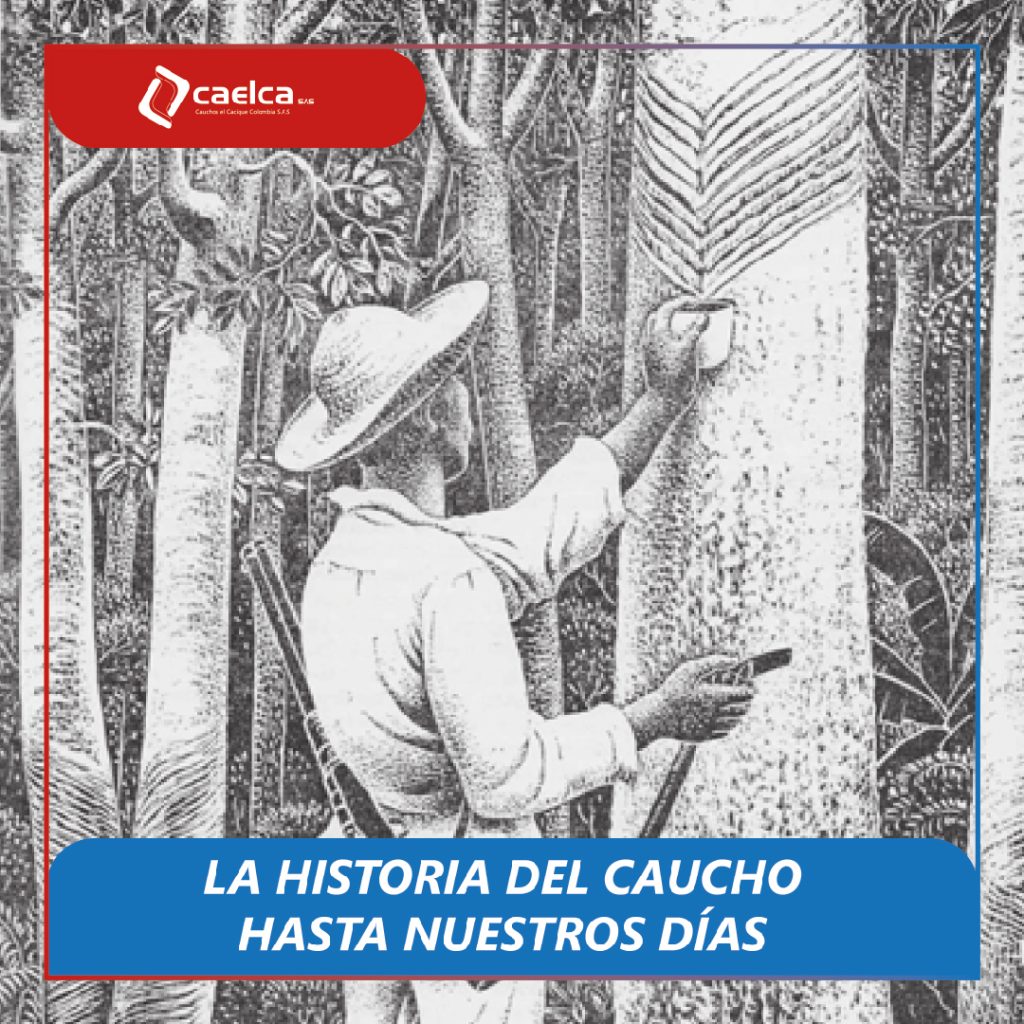 La historia del caucho-CAELCA