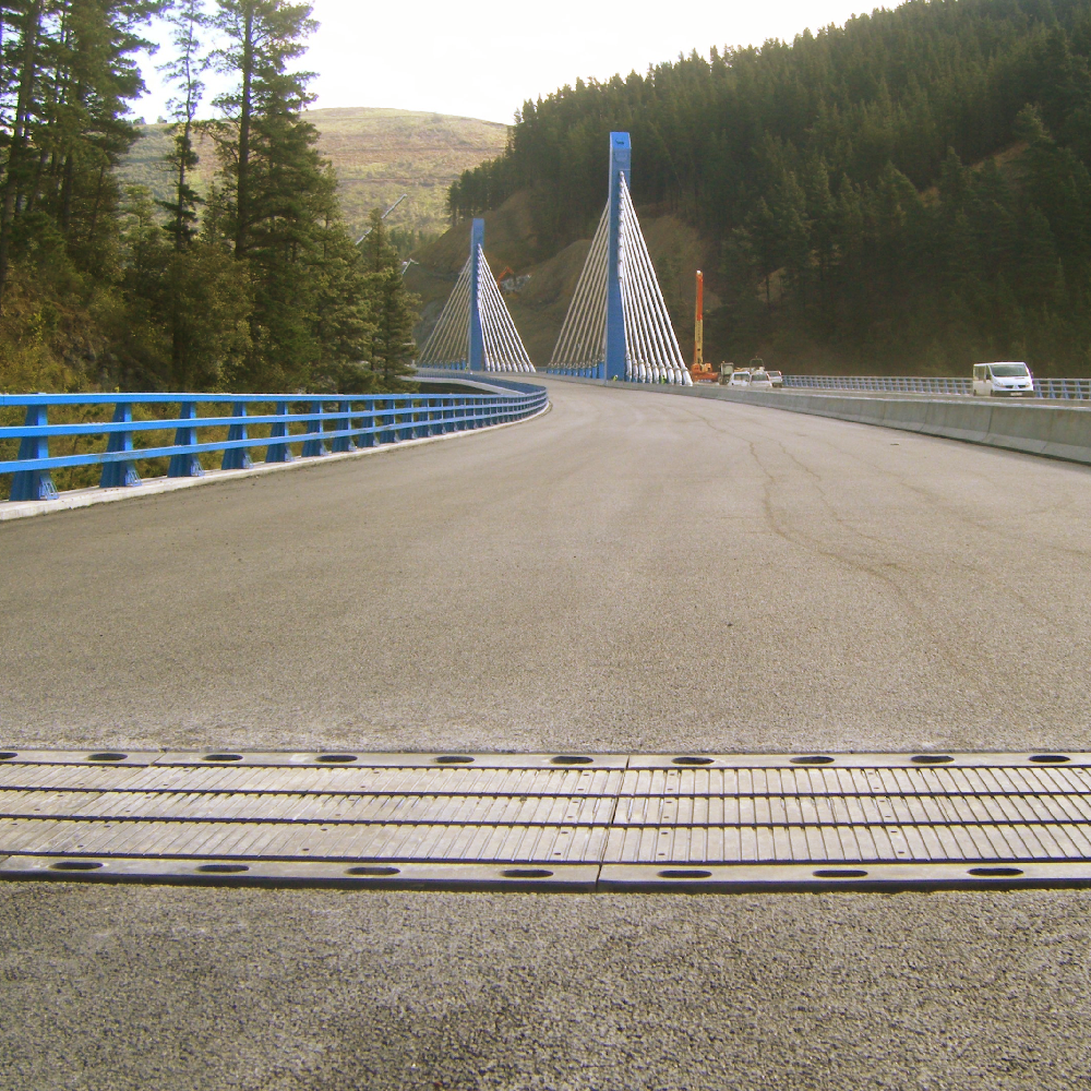 junta de dilatación demo 4 caelca