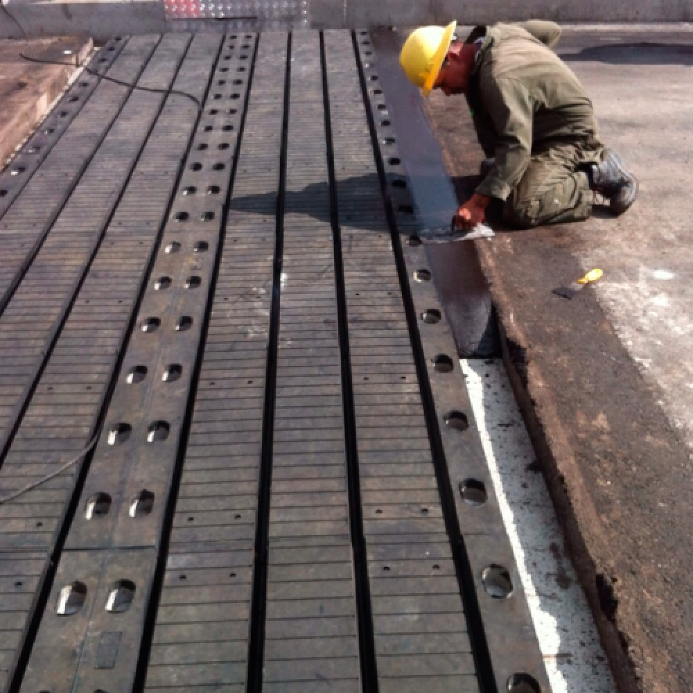 junta de dilatación demo 5 caelca