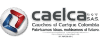 caelca logo nuevo (2) (1)