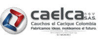 caelca logo nuevo (2) (1)