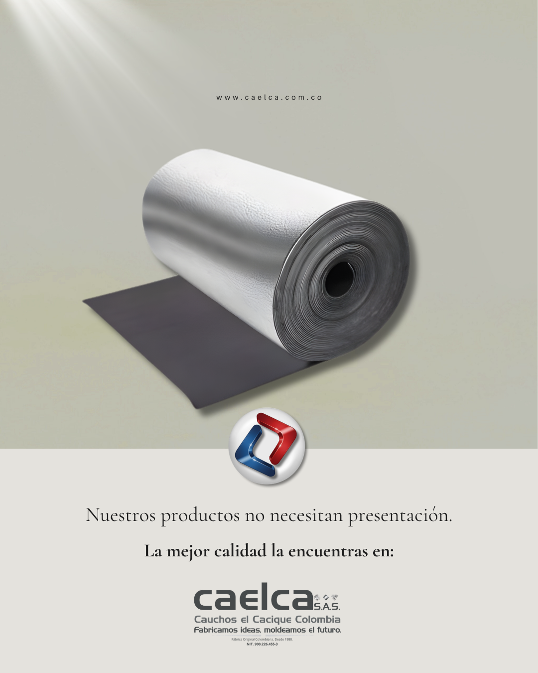 dia numero pi (1)