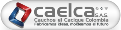 caelca logo nuevo (9)